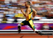 雄鹿教练压力巨大！，Rookie遭遇二十持续失利赛场气氛高涨