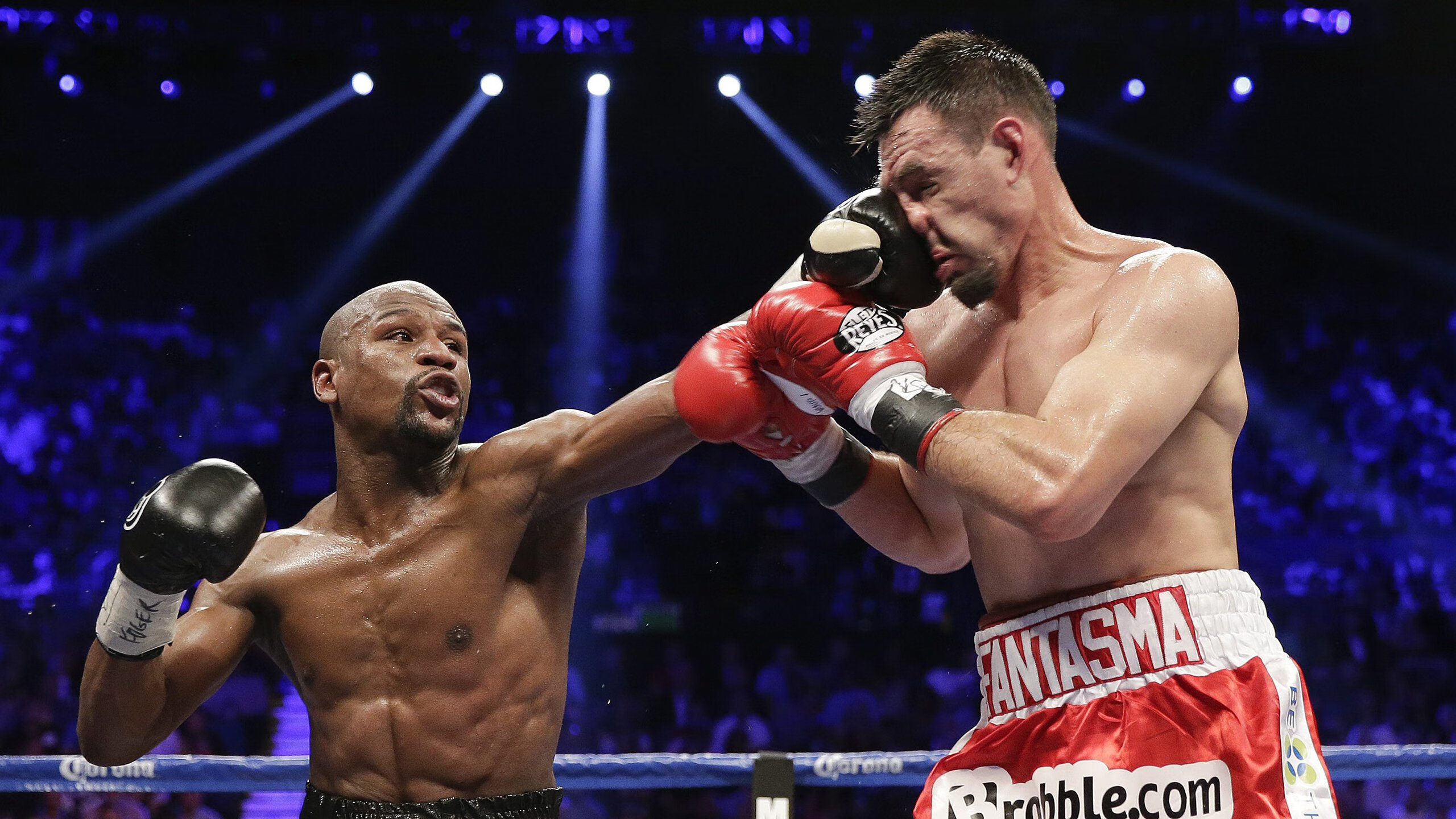  scout拿过s赛冠军吗 